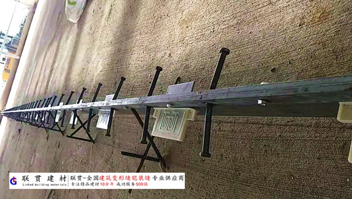 巴中市铠甲缝施工案例
